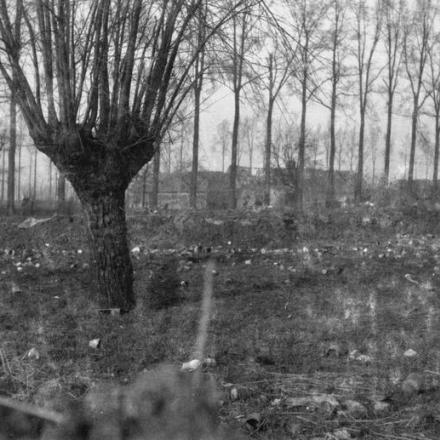 Trincee del 1° Battaglione Cameronians nel settore Bois Grenier, 11 febbraio 1915. © IWM Q 51576 