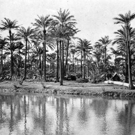 Campo inglese vicino a Shaibah