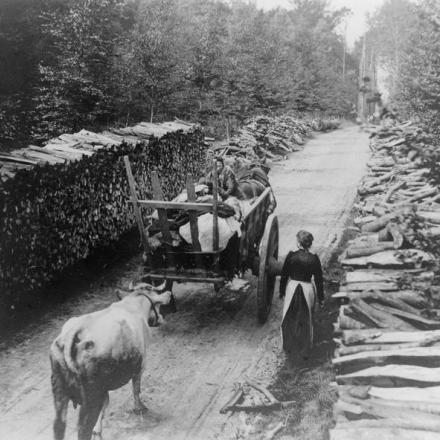 Il ritiro ad Anversa. Rifugiati belgi che lasciano Louvain e Tirlemont con i loro averi, 20 agosto 1914. © IWM Q 53209