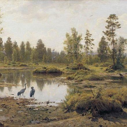 Le paludi del Pripyat in un dipinto del pittore russo Ivan Shishkin (1832 – 1898)