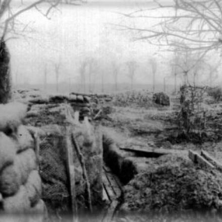 Messines, trincea 8, 1915