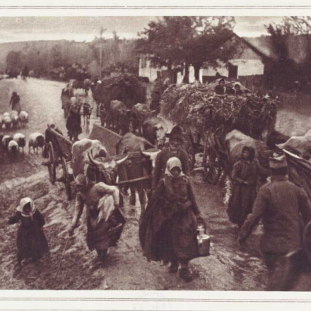 Profughi serbi, The illustrated war news, n. 73, 1915, ©MCRR 