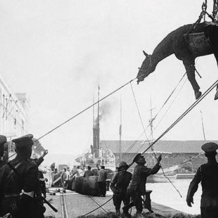 Sbarco di truppe e animali alleati a Salonicco 1915, ©IWM