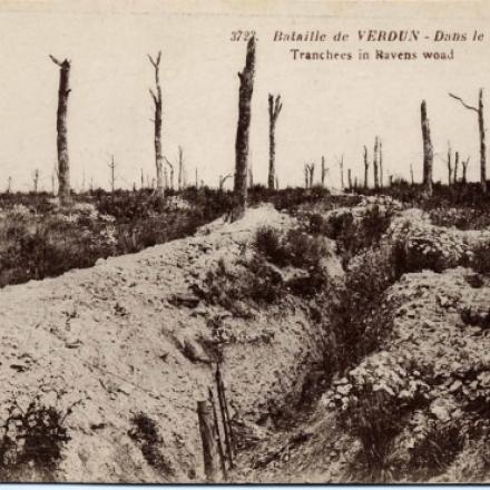 Bois des Corbeaux. Fonte: http://verdun2016.centenaire.org/