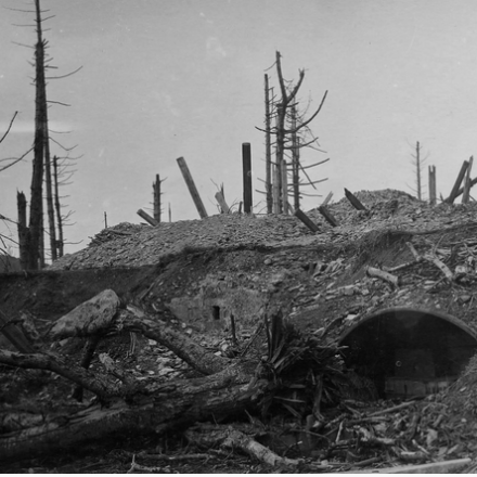 Trincea blindata dopo un bombardamento - Fonte: ©Museo civico del Risorgimento di Bologna