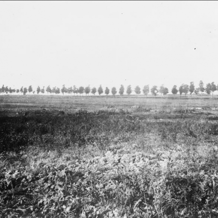 Artiglieria mimetizzata nei pressi di Sailly- Saillisel - Fonte: © IWM (Q 42232)