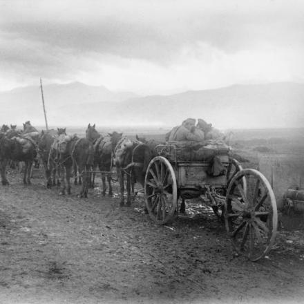 Artiglieria serba avanza verso Monastir - Fonte: © IWM (Q 52278)