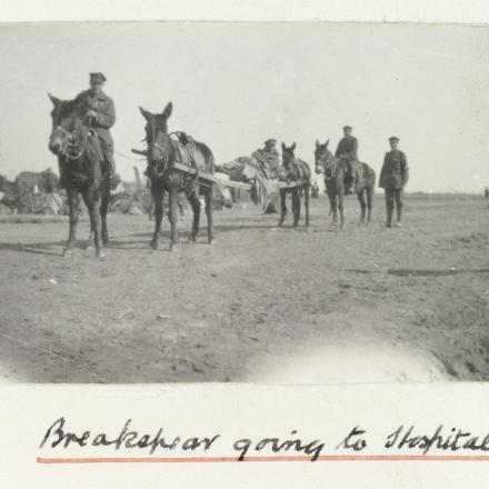 Trasporto verso l'ospedale di Katerini, Atene - Fonte: Wellcome Images CC BY 4.0