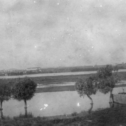 Una veduta di Tulcea - Fonte: © IWM (Q 76626)