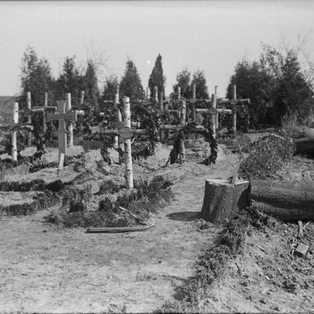 Tombe tedesche in un cimitero vicino a Etreillers, 20 aprile 1917. Notate gli alberi abbattuti dai tedeschi.© IWM (Q 2091)