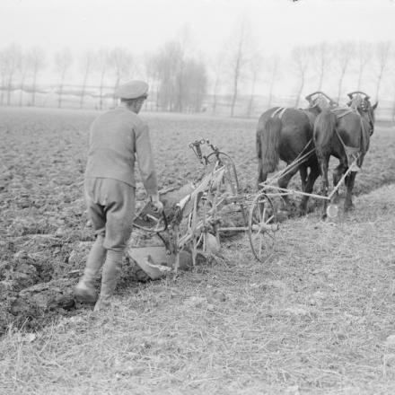 Soldato del Corpo dei servizi dell'esercito che ara il campo, Corbie. © IWM (Q 3951)