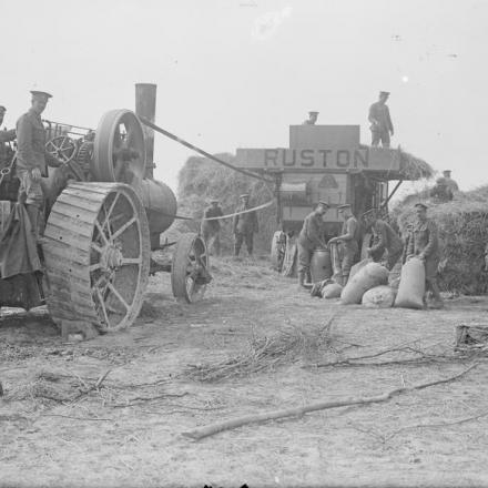 Truppe dell' Army Service Corps usano una trebbiatrice Ruston, Corbie. © IWM (Q 3949)
