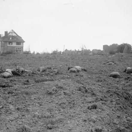 Alla periferia di Monchy-le-Preux, il 30 maggio 1917. (Catturato l'11 aprile 1917, dalla 37a divisione). Notare gli animali morti in primo piano. © IWM (Q 3091)