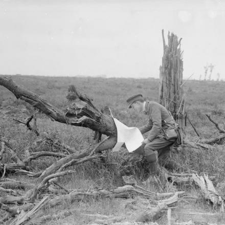 Un ufficiale britannico studia una mappa tedesca   vicino al bosco di Oosttaverne, l'11 giugno 1917.© IWM (Q 2306)