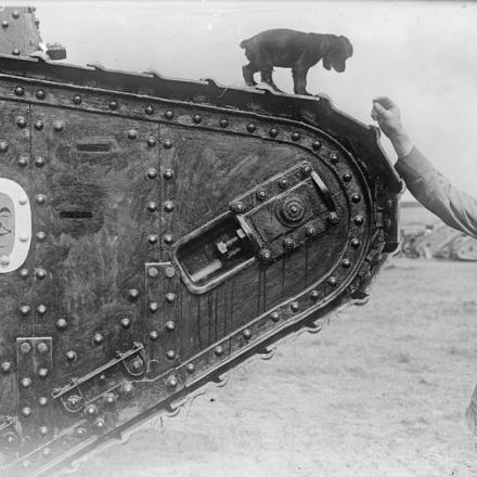 Il parco tank di Rollancourt, 20 giugno 1917.© IWM (Q 3223)