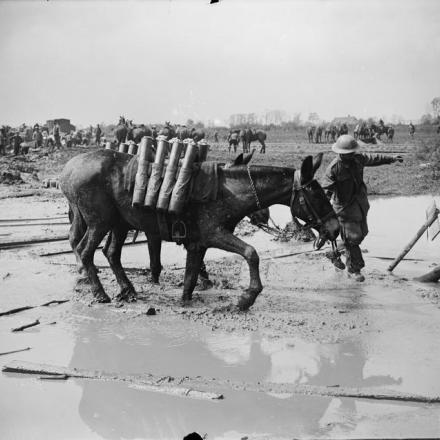 Battaglia di Pilckem Ridge. Muli che trasportano granate avanzano nel fango. Vicino a Ypres, 1 agosto 1917. © IWM (Q 5940)
