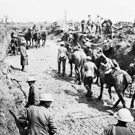 Battaglia di Ypres, 1917. Muli da soma trasportano granate lungo una strada ancora in costruzione. Pilckem, 3 agosto 1917. © IWM (Q 5766)