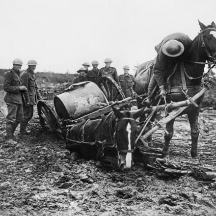 Battaglia di Pilckem Ridge. Un carretto impantanato nel fango a St Eloi, l'11 agosto 1917. © IWM (Q 5943)