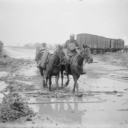 Cavalli da soma che trasportano granate su una strada a nord di Ypres. © IWM (Q 5939)