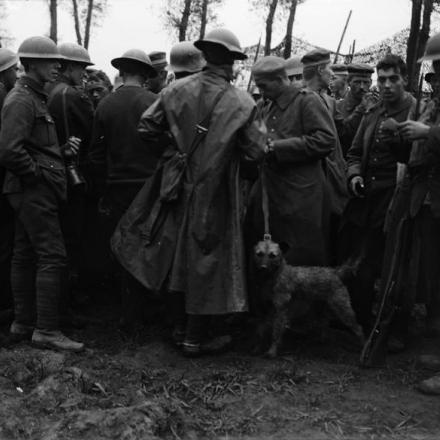 Prigionieri tedeschi dell'ottava e diciannovesima divisione catturati vicino a Reutel, St.Jean, il 4 settembre 1917. © IWM (Q 2998)