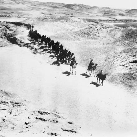 Rientro del Camel Transport Corps dall'abbeverata dei cammelli a Wadi Ghuzze, vicino a Shellal, il 17 settembre 1917. © IWM (Q 12576)