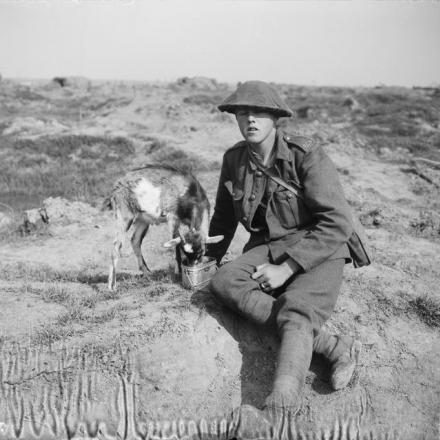 Un artigliere della Royal Garrison Artillery con la capretta mascotte della sua batteria. Pilckem Ridge, 26 settembre 1917. © IWM (Q 6004)