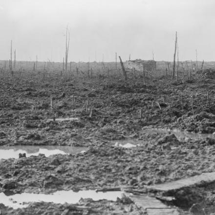 Fango e ceppi spezzati a Remus Wood. Truppe più vicine 2 ° Pionieri A.I.F. 5 novembre 1917. © IWM (E(AUS) 1049)
