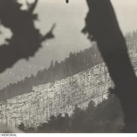 Il versante dell'Hartmannswillerkopf © Australian War Memorial 