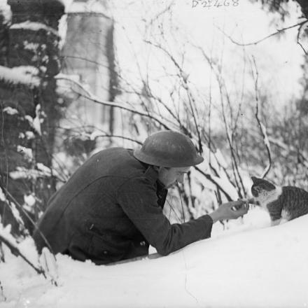Un soldato britannico gioca con un gattino su una sponda innevata, Neulette, 17 dicembre 1917.  © IWM (Q 6400)