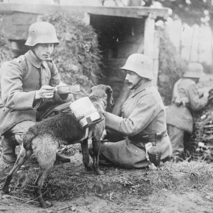 Un cane da spedizione porta del cibo a due soldati tedeschi in una trincea avanzata sul fronte occidentale. © IWM Q 23700