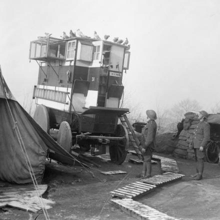 Royal Engineers con una piccionaia mobile nella linea di riserva vicino a Dickebusch, 23 dicembre 1917 © IWM (Q 8391)
