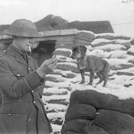 Un ufficiale York e Lancaster Regiment, alimenta un cucciolo fuori da un rifugio in una trincea vicino a Roclincourt, tra Oppy e Gavrelle, il 13 gennaio 1918.© IWM Q 8439