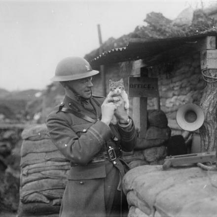 Un ufficiale di stato maggiore della 36a divisione gioca con un gattino fuori dal suo rifugio a Essigny, il 7 febbraio 1918 © IWM (Q 10679)