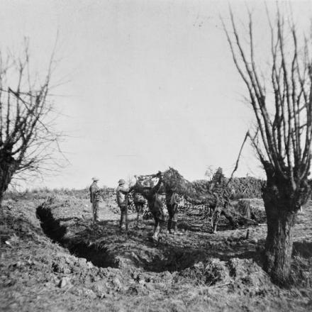 Le truppe australiane erigono uno schermo mimetizzato su una trincea scavata vicino a Yellow Post, Messines. © IWM E (AUS) 4543