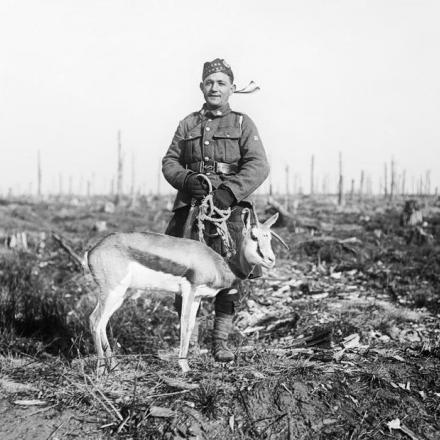 Nancy', la mascotte Springbok del 4 ° reggimento sudafricano  a Delville Wood, 17 febbraio 1918. © IWM Q 10675