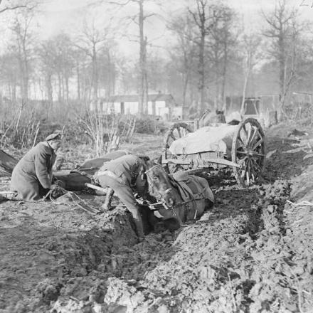 Un carro di artiglieria trainato da cavalli impantanato nel fango vicino a Ytres, 19 febbraio 1918. © IWM Q 8509