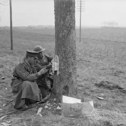 Ufficiale dei Royal Engineers che fissa una carica esplosiva a un albero per farlo cadere. Vicino a Roye, 27 marzo 1918. © IWM Q 11573