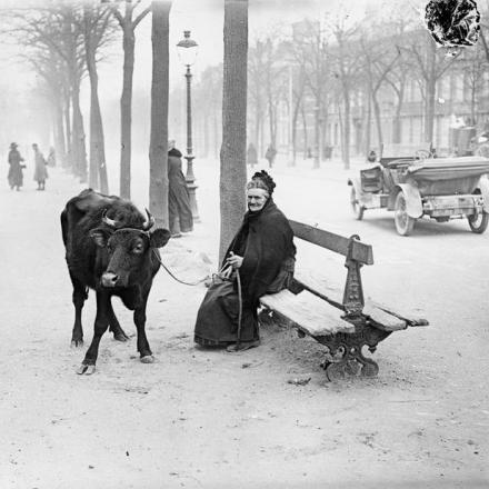 Una rifugiata in una strada di Amiens con la sua mucca, 28 marzo 1918. © IWM Q 10836
