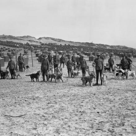Un gruppo di addestratori  con i loro cani presso i canili dell'esercito britannico vicino a Etaples, il 20 aprile 1918. © IWM (Q 29549)