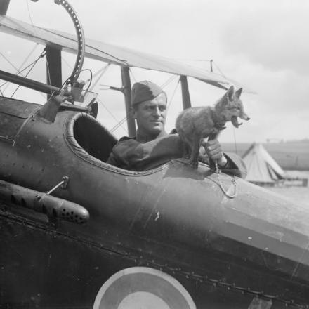 Cucciolo di volpe mascotte del del 32 ° squadrone sulla fusoliera di un biplano S.E.5a della Royal Aircraft Factory. Aerodromo di Humieres, 15 maggio 1918. © IWM
