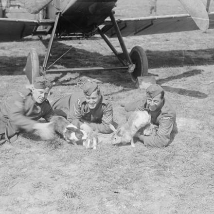 Uomini del 59° squadrone RAF con i loro conigli al Vert Galland Aerodrome, 15 maggio 1918. © IWM