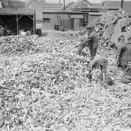 Lavoro di recupero nell'esercito. Ossa raccolte per l'estrazione di grasso. Etaples, 16 maggio 1918. © IWM 