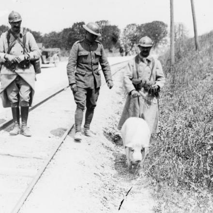 La terza battaglia dell'Aisne. Due soldati francesi e uno britannico con un maiale che hanno riportato durante la ritirata. Romigny, 29 maggio 1918. © IWM (Q 6692)