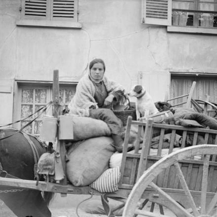 La terza battaglia dell'Aisne. Una donna francese rifugiata con il suo cane nel suo carretto. Dormans, 30 maggio 1918.