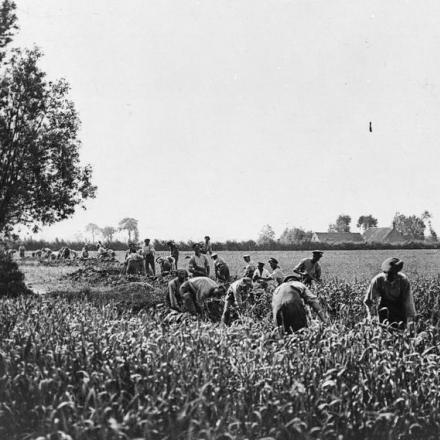 Soldati britannici che scavavano trincee di riserva a Oudezeele, il 1 ° giugno 1918. © IWM (Q 80081)