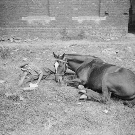 Un artigliere e il suo cavallo. Calonne, 13 giugno 1918. © IWM (Q 6709)