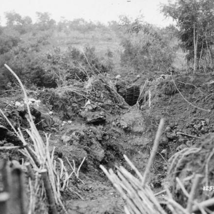 Posizioni italiane sul Montello oltre Giavera, 16 giugno 1918. © IWM (Q 65229)