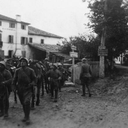 Un convoglio italiano di muli da carico che si sta proteggendo dal fuoco dell'artiglieria a Giavera sul Montello, nel giugno del 1918. © IWM (Q 65225)