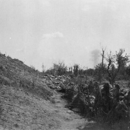Posizioni austro-ungariche abbandonate lungo la diga del Piave, vicino a Musile, giugno 1918. © IWM (Q 65275)