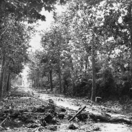 La strada di Nervesa, fronte del Piave, dopo il ritiro austro-ungarico, 1918. © IWM (Q 65352)